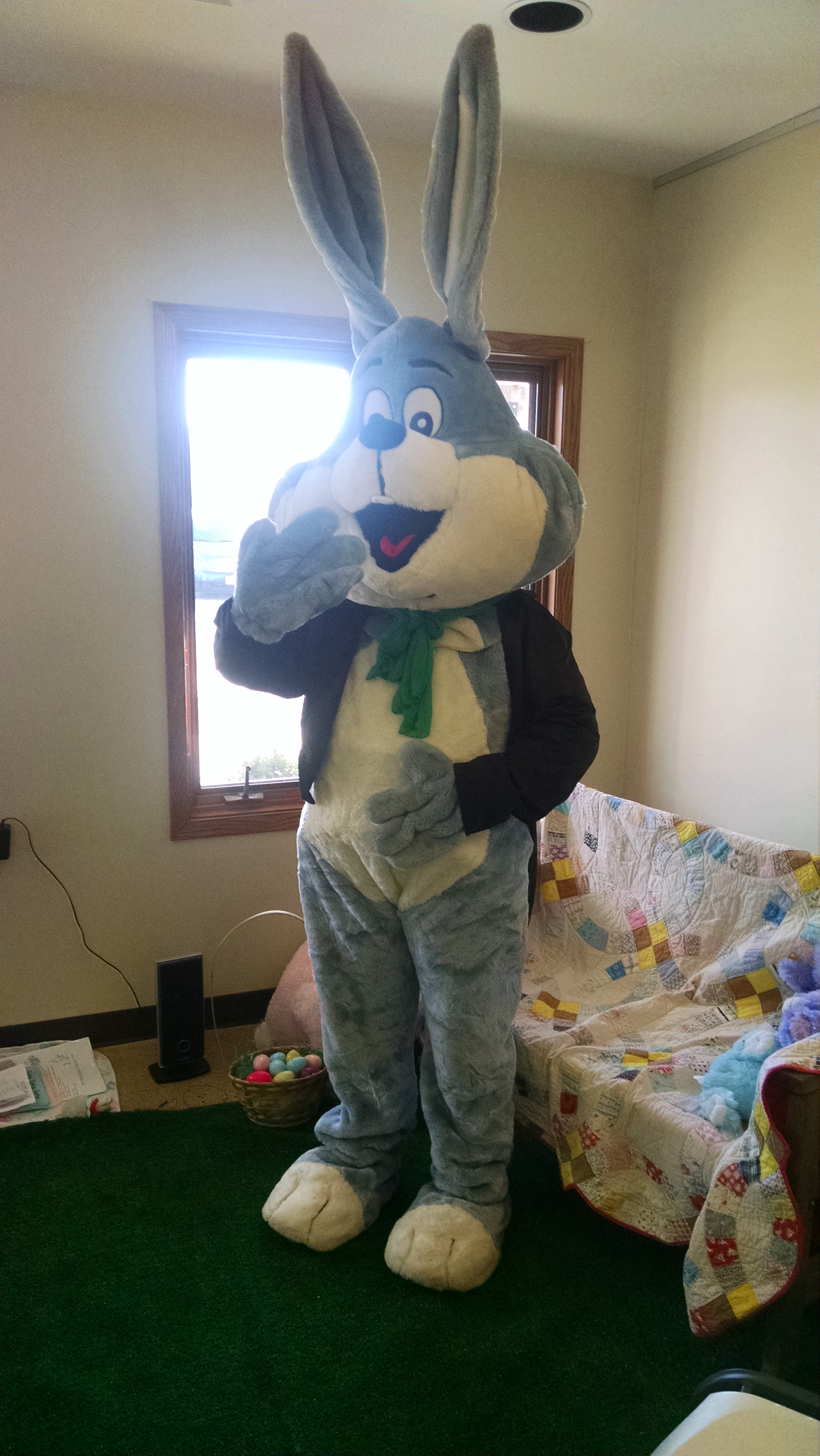 The bunny posing for a picture.